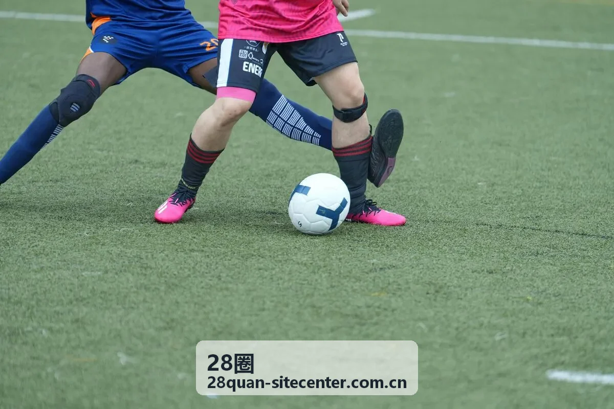 圈层数据分析工具使用手册 - 28圈资源中心